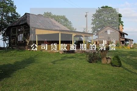 公司贷款逾期的清偿 公司贷款逾期的清偿