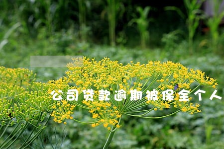 公司贷款逾期被保全个人账户 公司贷款逾期被保全个人账户