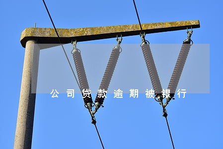 公司贷款逾期被银行