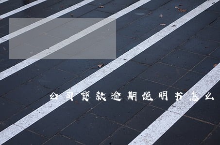 公司贷款逾期说明书怎么写