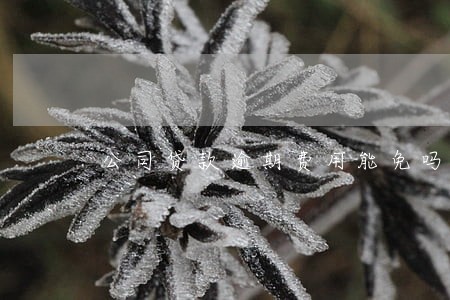 公司贷款逾期费用能免吗 公司贷款逾期费用能免吗