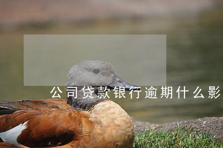 公司贷款银行逾期什么影响 公司贷款银行逾期什么影响