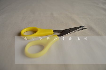 公司资料外传违法吗 公司资料外传违法吗