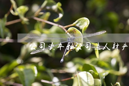 公司资本和公司法人财产
