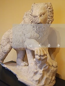 公司资本诉讼