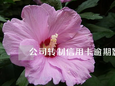 公司转制信用卡逾期影响不 公司转制信用卡逾期影响不