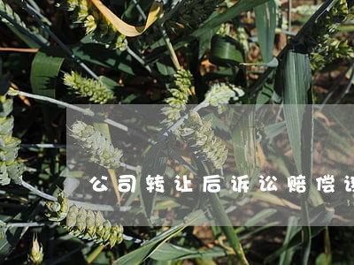 公司转让后诉讼赔偿该怎么执行 公司转让后诉讼赔偿该怎么执行