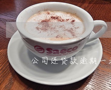 公司还贷款逾期一天 公司还贷款逾期一天