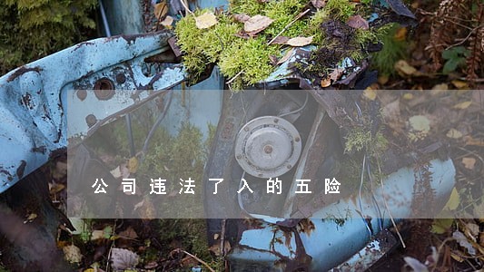 公司违法了入的五险 公司违法了入的五险