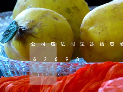 公司违法司法冻结资金/2023020162698 公司违法司法冻结资金/2023020162698