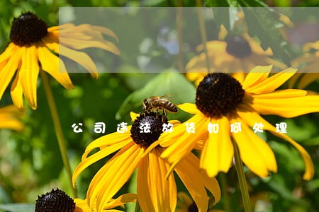 公司违法放货如何处理 公司违法放货如何处理