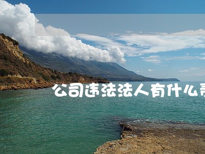 公司违法法人有什么责任 公司违法法人有什么责任