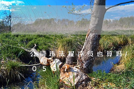 公司违法程序员也算吗/2023020105375 公司违法程序员也算吗/2023020105375