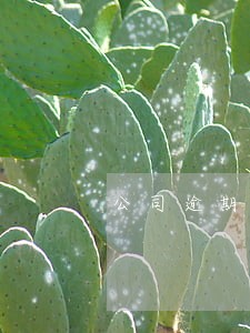 公司逾期3天会上征信吗 公司逾期3天会上征信吗