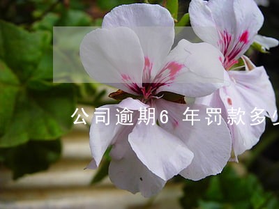 公司逾期6年罚款多少 公司逾期6年罚款多少