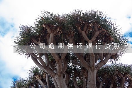 公司逾期偿还银行贷款