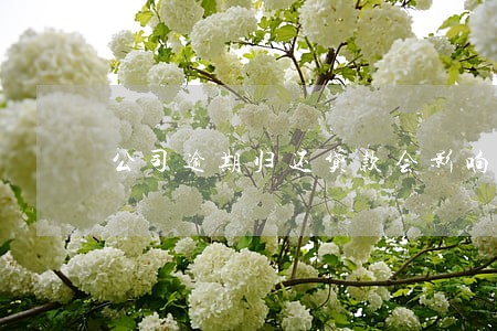 公司逾期归还贷款会影响 公司逾期归还贷款会影响