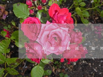 公司逾期律师诚信服务 公司逾期律师诚信服务
