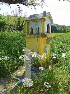 公司逾期法人可以贷款吗 公司逾期法人可以贷款吗