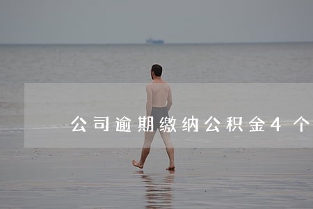 公司逾期缴纳公积金4个月 公司逾期缴纳公积金4个月