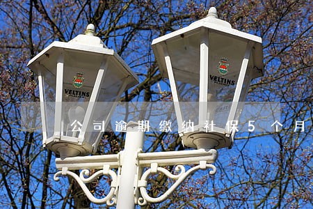 公司逾期缴纳社保5个月未付款 公司逾期缴纳社保5个月未付款