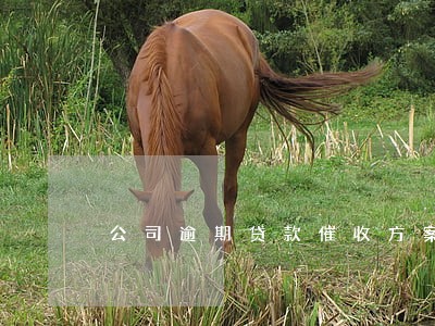 公司逾期贷款催收方案 公司逾期贷款催收方案
