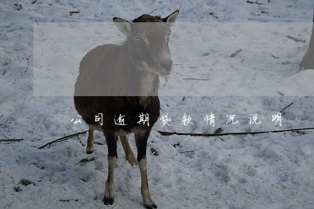 公司逾期贷款情况说明 公司逾期贷款情况说明