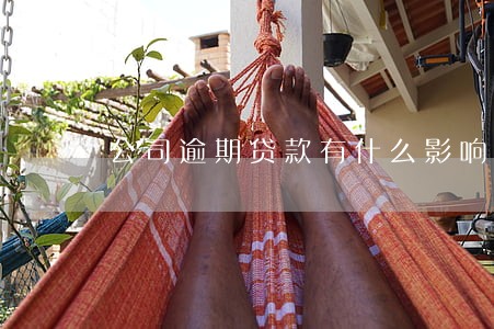 公司逾期贷款有什么影响 公司逾期贷款有什么影响