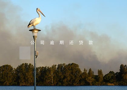 公司逾期还贷款