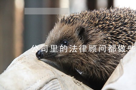 公司里的法律顾问都做些什么啊 公司里的法律顾问都做些什么啊
