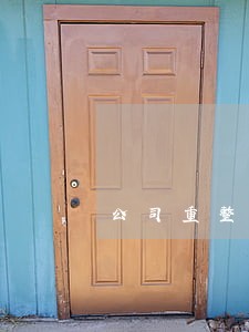 公司重整若干问题的法律思考 公司重整若干问题的法律思考