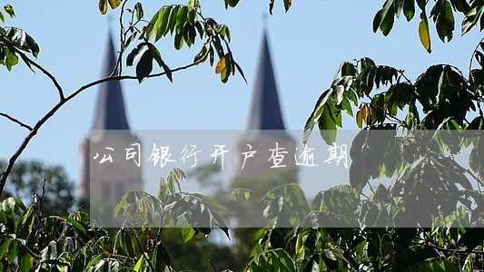 公司银行开户查逾期 公司银行开户查逾期