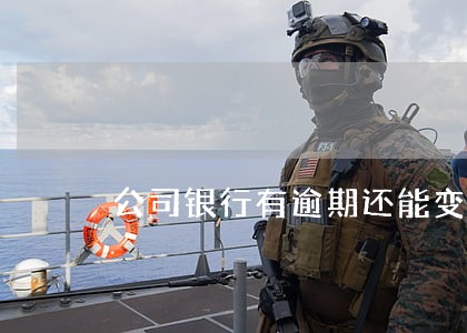 公司银行有逾期还能变换法人吗 公司银行有逾期还能变换法人吗