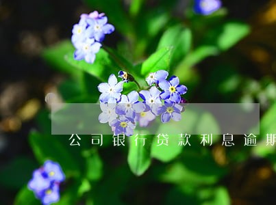 公司银行贷款利息逾期后果