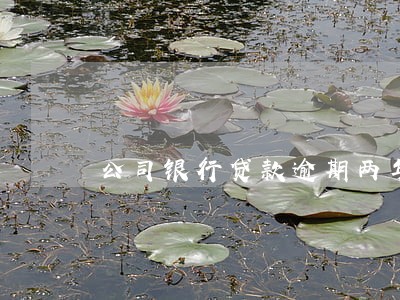公司银行贷款逾期两年了 公司银行贷款逾期两年了