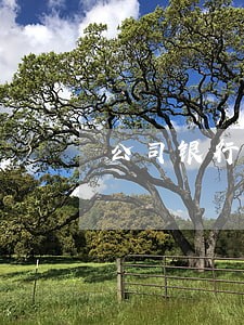 公司银行贷款逾期的后果 公司银行贷款逾期的后果