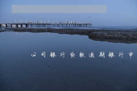 公司银行贷款逾期银行申请冻结