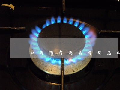 公司银行还款逾期怎么办 公司银行还款逾期怎么办