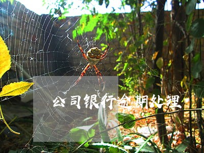 公司银行逾期处理 公司银行逾期处理