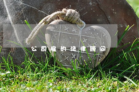 公司雇的法律顾问