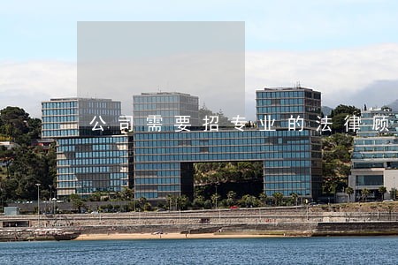 公司需要招专业的法律顾问吗 公司需要招专业的法律顾问吗