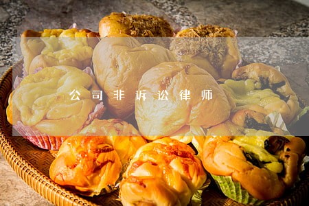 公司非诉讼律师 公司非诉讼律师
