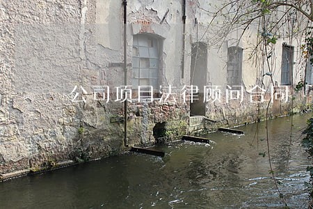 公司项目法律顾问合同 公司项目法律顾问合同