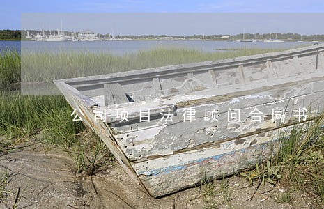 公司项目法律顾问合同书 公司项目法律顾问合同书
