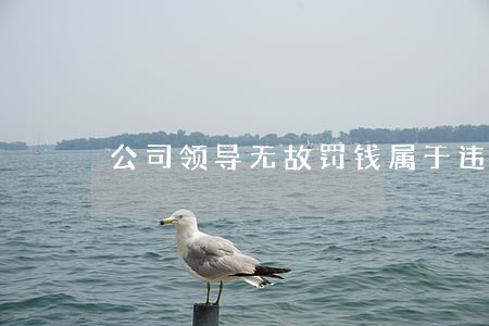 公司领导无故罚钱属于违法 公司领导无故罚钱属于违法
