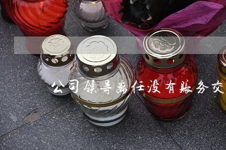 公司领导离任没有账务交接诉讼