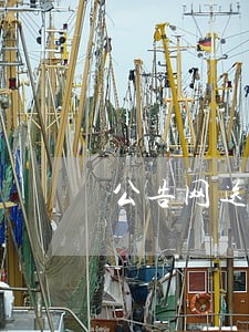 公告网送达序