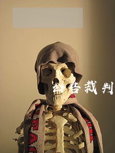 公告裁判文书api接口