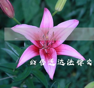 公告送达法律文书亟待规范 公告送达法律文书亟待规范