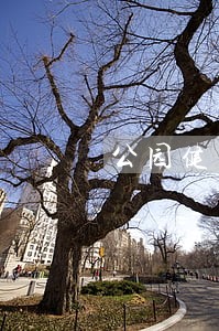公园健身器材使用法规 公园健身器材使用法规